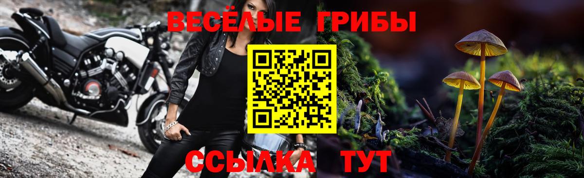 Псилоцибиновые грибы MAGIC MUSHROOMS  Вход с VPN  Псилоцибиновые грибы GOLDEN TEACHER  Архангельск 